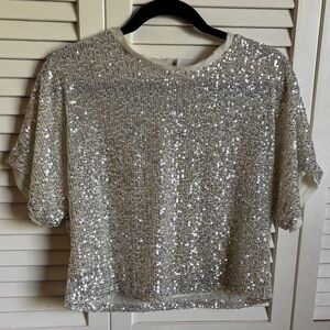 Lucy Paris Silver Sequin Crop Top